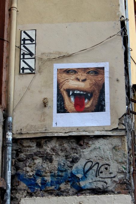 big-ben-street-art-animal-stone-singe-2016